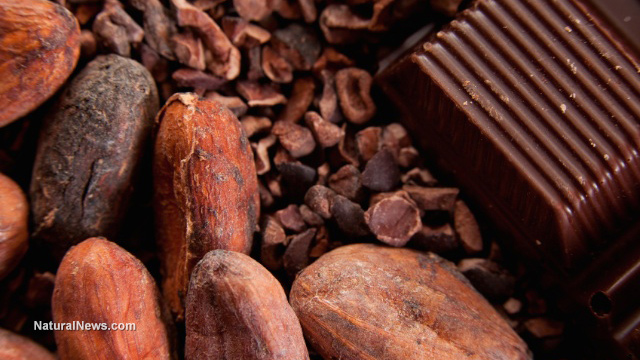 шоколад-какаови-зърна