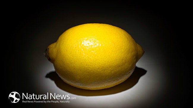 лимон-плод