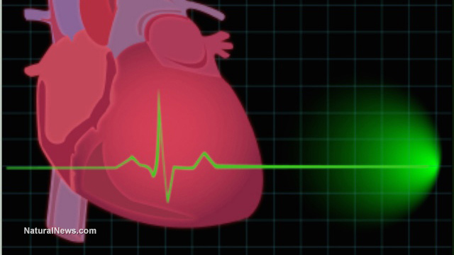 Сърце-кардиограма
