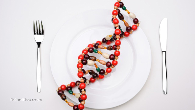 ГМО-ДНК-гени-чиния