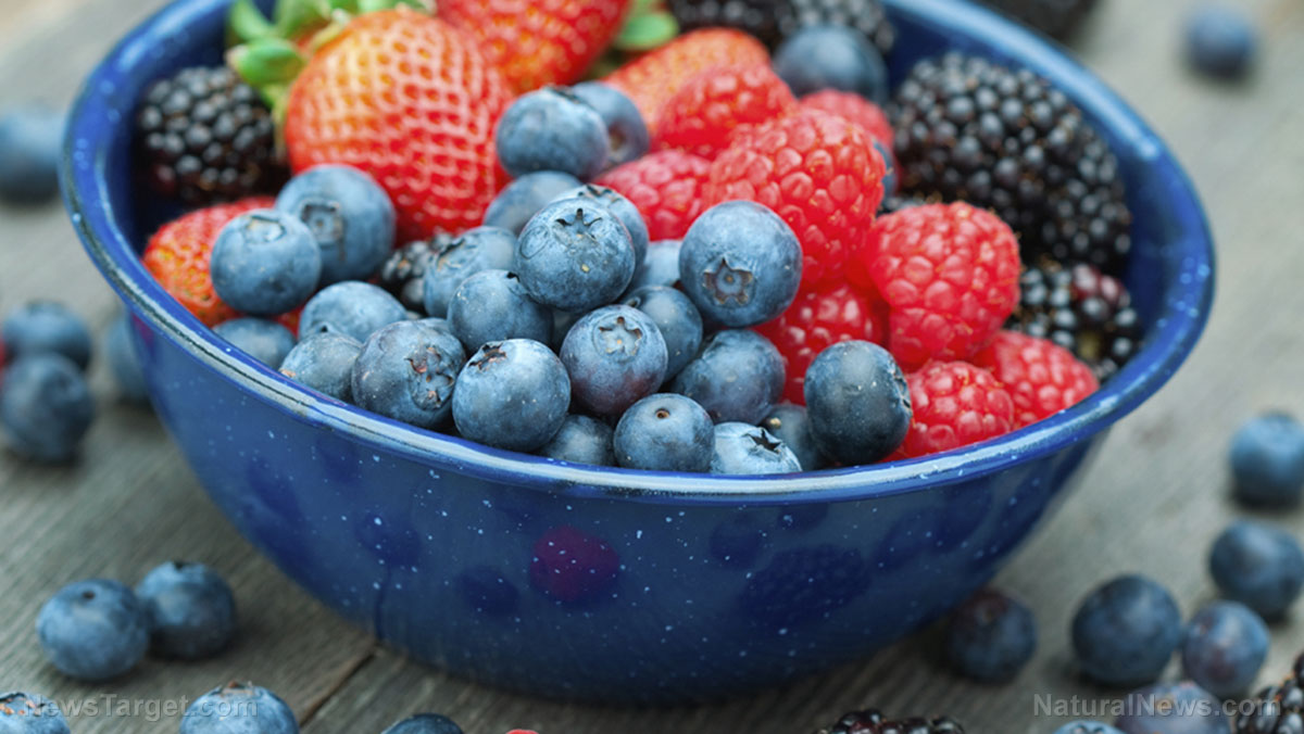 плодове-горски-ягоди-малини-къпини-боровинки