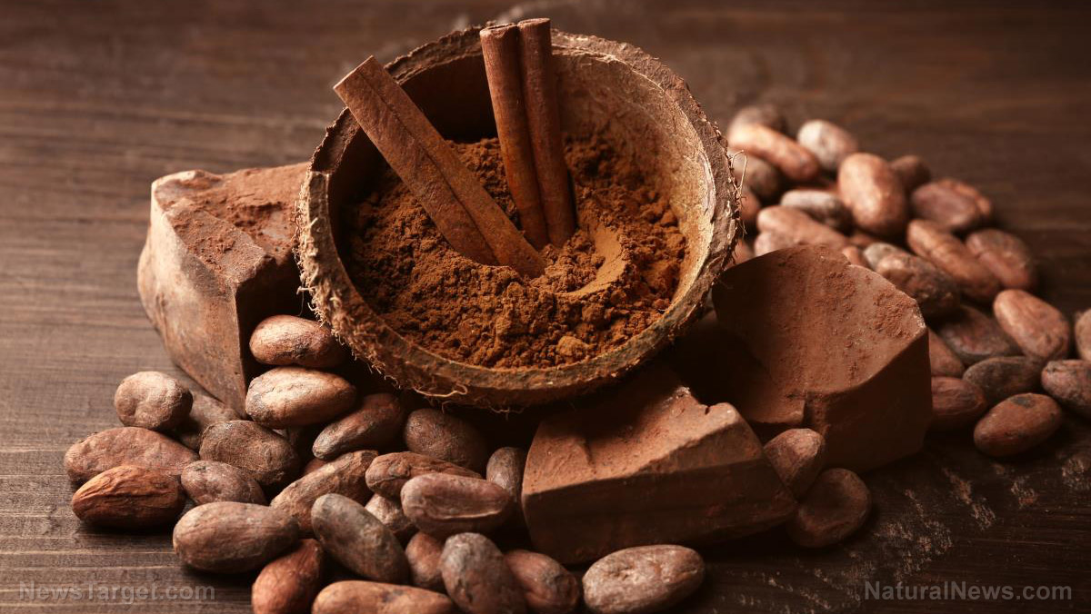 какаови-зърна-шоколад-какао