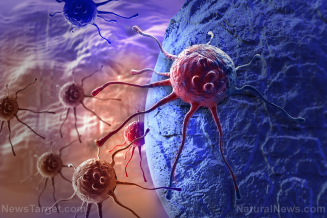 рак-клетка-атакува-тяло-коронавирус